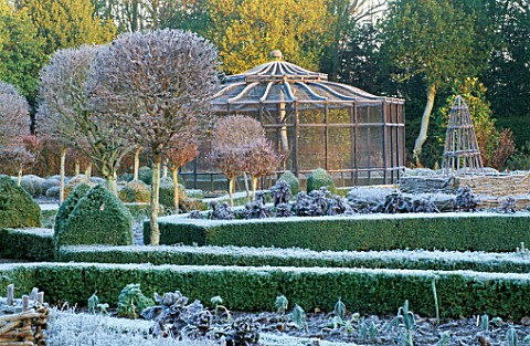 WEST_GREEN_HOUSE_GARDEN__HAMPSHIRE_CLIPPED_BOX_HEDGING_IN_THE_POTAGER_WITH_AN_OLD_METAL_FRUIT_CAGE_I