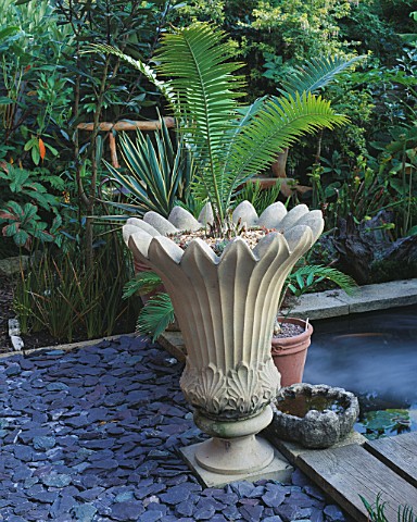 PETER_REIDS_GARDEN__HAMPSHIRE_BACK_GARDEN__CLASSICAL_URN_WITH_THE_CYCAD_DIOON_SPINULOSUM_NOT_HARDY