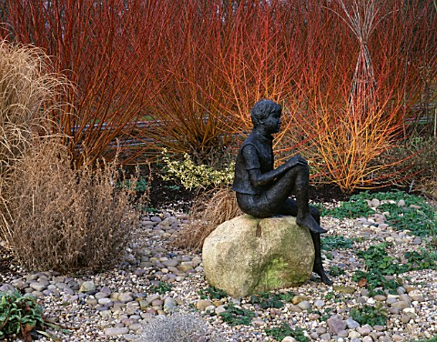 STATUE_OF_A_BOY_ON_A_ROCK_IN_FROST_WITH_SALIX_ALBA_SUBSP_VITELLINA_AND_CORNUS_SANGUINEA_MIDWINTER_FI