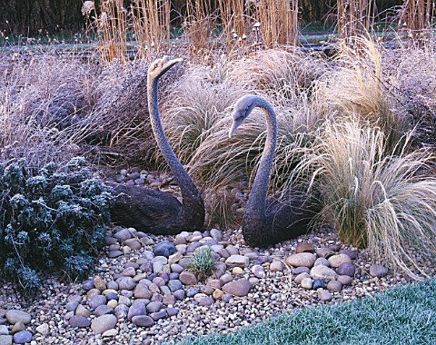 FROSTY_GRASS_BORDER_BESIDE_THE_CANAL__WITH_SWAN_SCULPTURES__STIPA_TENUISSIMA___MISCANTHUS_SINENSIS_G