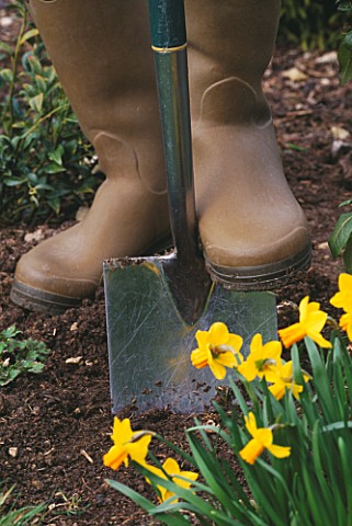 MAN_DIGGING_WITH_SPADE_AND_WELLINGTON_BOOTS