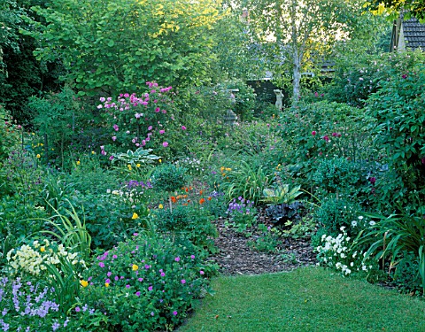WOODCHIPPINGS__NORTHANTS_SHADE_THE_ORCHARD_IN_EARLY_SUMMER_WITH_ROSES__HOSTAS__VIOLAS_AND_A_BIRCH_TR