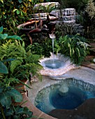 CHELSEA 2004: 100 % PURE NEW ZEALAND ORA: STEAMING MINERAL POOL  THERMAL TERRACE  FERNS  CORDYLINE AND WOODEN LIZARD