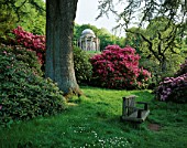RHODODENDRONS AT STOURHEAD LANDSCAPE GARDEN IN WILTSHIRE