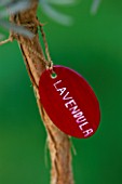 DESIGNER: CLARE MATTHEWS: RED PAINTED WOODEN LABEL WITH WHITE WRITING WHICH SAYS LAVENDULA