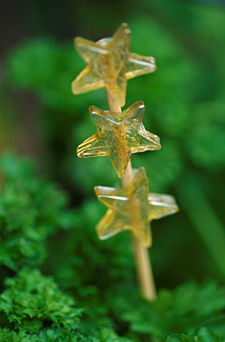DESIGNER_CLARE_MATTHEWS_POT_DECORATION_GLASS_STARS_ON_A_STICK_IN_PARSLEY_CONTAINER