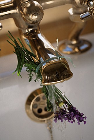 DESIGNER_CLARE_MATTHEWS_RELAXING_BATH_PROJECT_WATER_FROM_BATH_TAP_RUNNING_OVER_A_BOUQUET_OF_CHAMOMIL