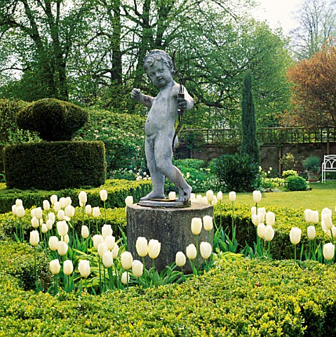 A_CUPID_SURROUNDED_BY_SNOW_PEAK_TULIPS_IN_THE_WHITE_GARDEN_AT_CHENIES_MANOR__BUCKINGHAMSHIRE