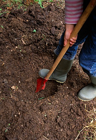 DESIGNER_CLARE_MATTHEWS_STUMPERY_PROJECT__GIRL_DIGGING_HOLE_FOR_LOGS