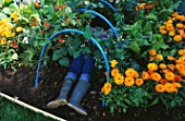 DESIGNER: CLARE MATTHEWS: VEGETABLE TUNNEL PROJECT - GIRL LYING INSIDE TUNNEL IN VEGETABLE GARDEN WITH CALENDULAS AND RUNNER BEANS