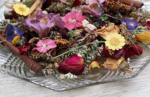 DESIGNER_CLARE_MATTHEWS__POTPOURRI__GLASS_DISH_WITH_DRIED_AND_PRESSED_FLOWERS