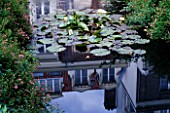 AMSTERDAM: PRIVATE GARDEN - POOL WITH WATERLILIES AND REFLECTION OF AMSTERDAM HOUSES