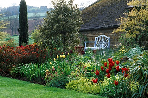 PETTIFERS__OXFORDSHIRE_SPRING_BORDER_WITH_BLUE_SEAT__TULIPS_AND_EUPHORBIA_GRIFFITHII_FERN_COTTAGE