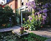 DESIGNER: SHEILA STEDMAN - VIEW OF BACK OF HOUSE WITH RECTANGULAR POOL  WISTERIA  GLASS FRONTESD KITCHEN AND SCULPTURE BY HELEN SINCLAIR