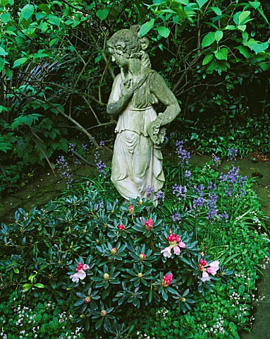 DESIGNER_SHEILA_STEDMAN__FRONT_GARDEN__STATUE_SURROUNDED_BY_BLUEBELLS_AND_RHODODENDRONS