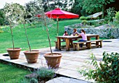 GARDEN DESIGNER CLARE MATTHEWS RELAXES WITH NANCY AND HARRIET AT A GREEN OAK TABLE WITH BENCH ON THE STONE TERRACE IN HER DEVON GARDEN. OLIVE TREES IN CONTAINERS