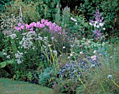 PASTEL BORDER WITH PLANTED WITH PHLOX  ACHILLEA  SAGE AND ALLIUMS. DESIGNER : DAVID CHASE