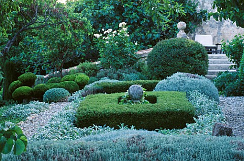 LA_CHABAUDE__FRANCE_DESIGNER__PHILIPPE_COTTET_CLIPPED_TOPIARY_PINE__BOX__AND_SANTOLINA_WITH_STACHYS_
