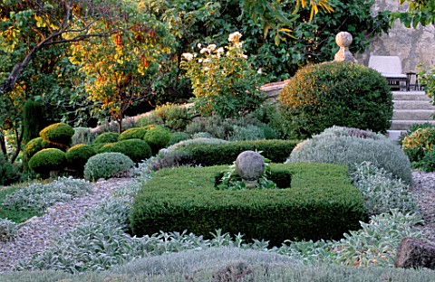 LA_CHABAUDE__FRANCE_DESIGNER__PHILIPPE_COTTET_CLIPPED_TOPIARY_PINE__BOX__AND_SANTOLINA_WITH_STACHYS_