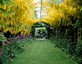THE ABBEY HOUSE  WILTSHIRE: THE LABURNUM ARCH IN SPRING WITH ALLIUMS AND MOTHER AND CHILD SCULPTURE BY BOB ALLEN
