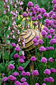 THE ABBEY HOUSE  WILTSHIRE: CHIVES FLOWERING IN THE HERB GARDEN WITH THE PANTHEON CERAMIC SCULPTURE BY CHERYL DEDMAN