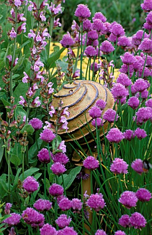 THE_ABBEY_HOUSE__WILTSHIRE_CHIVES_FLOWERING_IN_THE_HERB_GARDEN_WITH_THE_PANTHEON_CERAMIC_SCULPTURE_B
