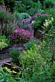 THE ABBEY HOUSE  WILTSHIRE: RAISED WOODEN BEDS IN THE HERB GARDEN WITH FLOWERING CHIVES