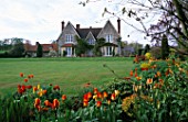 ST MICHAELS HOUSE  KENT : VIEW ACROSS THE LAWN TO THE HOUSE FROM THE SPRING TULIP BORDERS