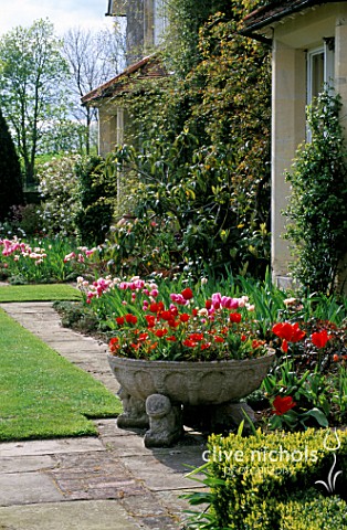 ST_MICHAELS_HOUSE__KENT_FRONT_OF_THE_HOUSE_WITH_A_STONE_URN_PLANTED_WITH_TULIP_LINIFOLIA_AND_COULEUR