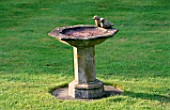 STONE BIRD BATH WITH TWO DOVES.  ST. MICHAELS HOUSE  KENT