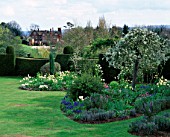 ST MICHAELS HOUSE  KENT: SPRING BORDER WITH TULIPS  YEW TOPIARY HEDGE AND PYRUS SALICIFOLIA PENDULA