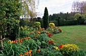 ST MICHAELS HOUSE  KENT: SPRING BORDER WITH ORANGE AND RED TULIPS  LAWN AND YEW HEDGING