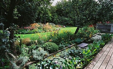VIEW_ACROSS_LILY_POND_TO_LAWN_AND_BORDER_WITH_ECHINACEA_AND_STIPA_GIGANTEA_DESIGNER_DUNCAN_HEATHER__