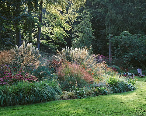 EARLY_MORNING_LIGHT_ON_BORDER_WITH_ECHINACEAS__CORTADERIA_AND_STIPA_GIGANTEA_DESIGNER_DUNCAN_HEATHER