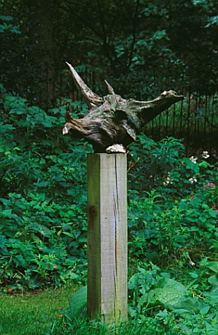 TREE_STUMP_SCULPTURE_IN_THE_WOODLAND_AT_GREYSTONE_COTTAGE__OXFORDSHIRE