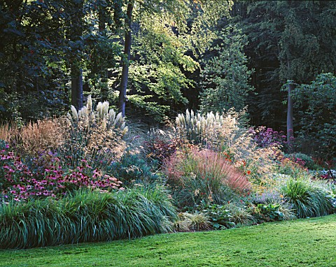 THE_MAIN_BORDER_BESIDE_THE_LAWN_IN_AUTUMN_WITH_ECHINACEA__STIPA_GIGANTEA_AND_PAMPAS_GRASS_GREYSTONE_