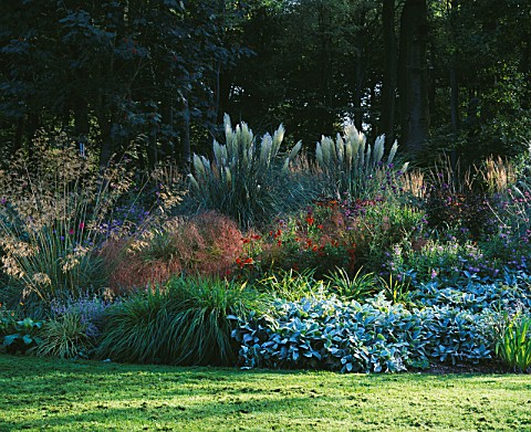 EARLY_MORNING_SUNLIGHT_ON_THE_MAIN_BORDER_BESIDE_THE_LAWN_WITH_STACHYS__HELENIUMS__STIPA_GIGANTEA_AN