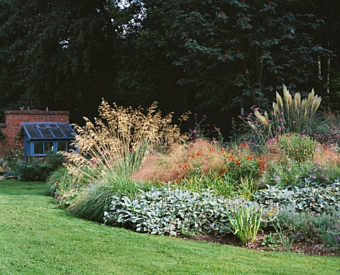 VIEW_FROM_THE_MAIN_LAWN_TO_SMALL_GREENHOUSE_WITH_STIPA_GIGANTEA__STACHYS_AND_PAMPAS_GRASS_GREYSTONE_