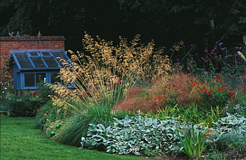 THE_SMALL_GREENHOUSE_SEEN_FROM_THE_LAWN_WITH_STIPA_GIGANTEA_AND_STACHYS_IN_THE_BORDER_GREYSTONE_COTT