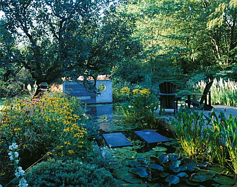 MORNING_LIGHT_ON_THE_LILY_POND_WITH_DECKING__ADIRONDACK_CHAIRS__STEPPING_STONES__CONCRETE_SCULPTURE_