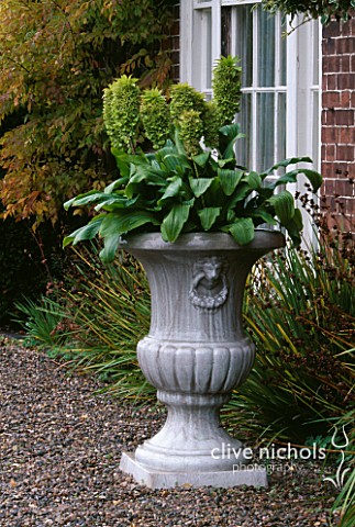 URN_IN_FRONT_OF_HOUSE_PLANTED_WITH_EUCOMIS_PARSONAGE__OMBERSLEY__WORCESTERSHIRE