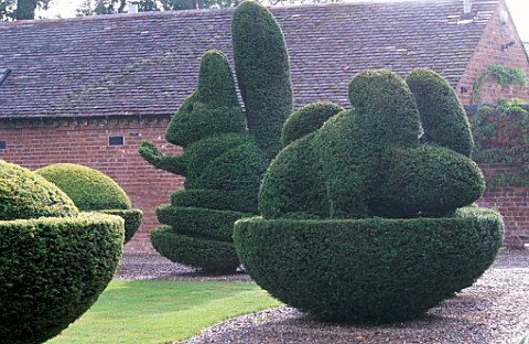 SQUIRREL_AND_RABBIT_TOPIARY_HEDGES_PARSONAGE__OMBERSLEY__WORCESTERSHIRE