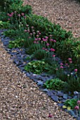 BOX HEDGING  GRAVEL  SLATE AND THRIFT IN THE PARTERRE. PARSONAGE  OMBERSLEY  WORCESTERSHIRE
