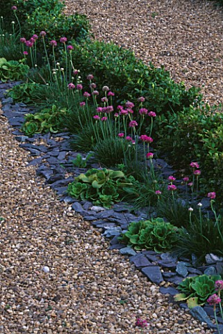 BOX_HEDGING__GRAVEL__SLATE_AND_THRIFT_IN_THE_PARTERRE_PARSONAGE__OMBERSLEY__WORCESTERSHIRE