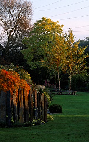 LAWN_WITH_STONE_SCULPTURE__ACER_PALMATUM_DISSECTUM_AND_THREE_BETULA_NIGRA_HERITAGE_BESIDE_A_WOODEN_B