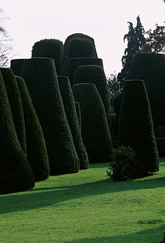 PACKWOOD_HOUSE__WARWICKSHIRE_THE_TOPIARY_GARDEN_IN_WINTER