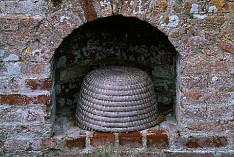 PACKWOOD_HOUSE__WARWICKSHIRE_BEE_SKEP_IN_THE_WALLED_GARDEN