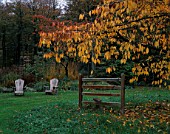 GREYSTONE COTTAGE  OXFORDSHIRE: A METAL STILE BENEATH A CHERRY TREE ON THE LAWN IN AUTUMN WITH ADIRONDACK CHAIRS IN BACKGROUND