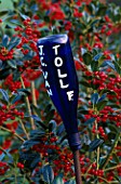 HIGHFIELD HOLLIES  HAMPSHIRE: BLUE GLASS BOTTLE ON A STICK USED AS A LABEL FOR ILEX J C VAN TOL