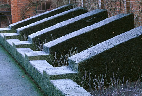 PACKWOOD_HOUSE__WARWICKSHIRE__IN_WINTER_FROST_ON_THE_ROSE_BORDER_HEDGES